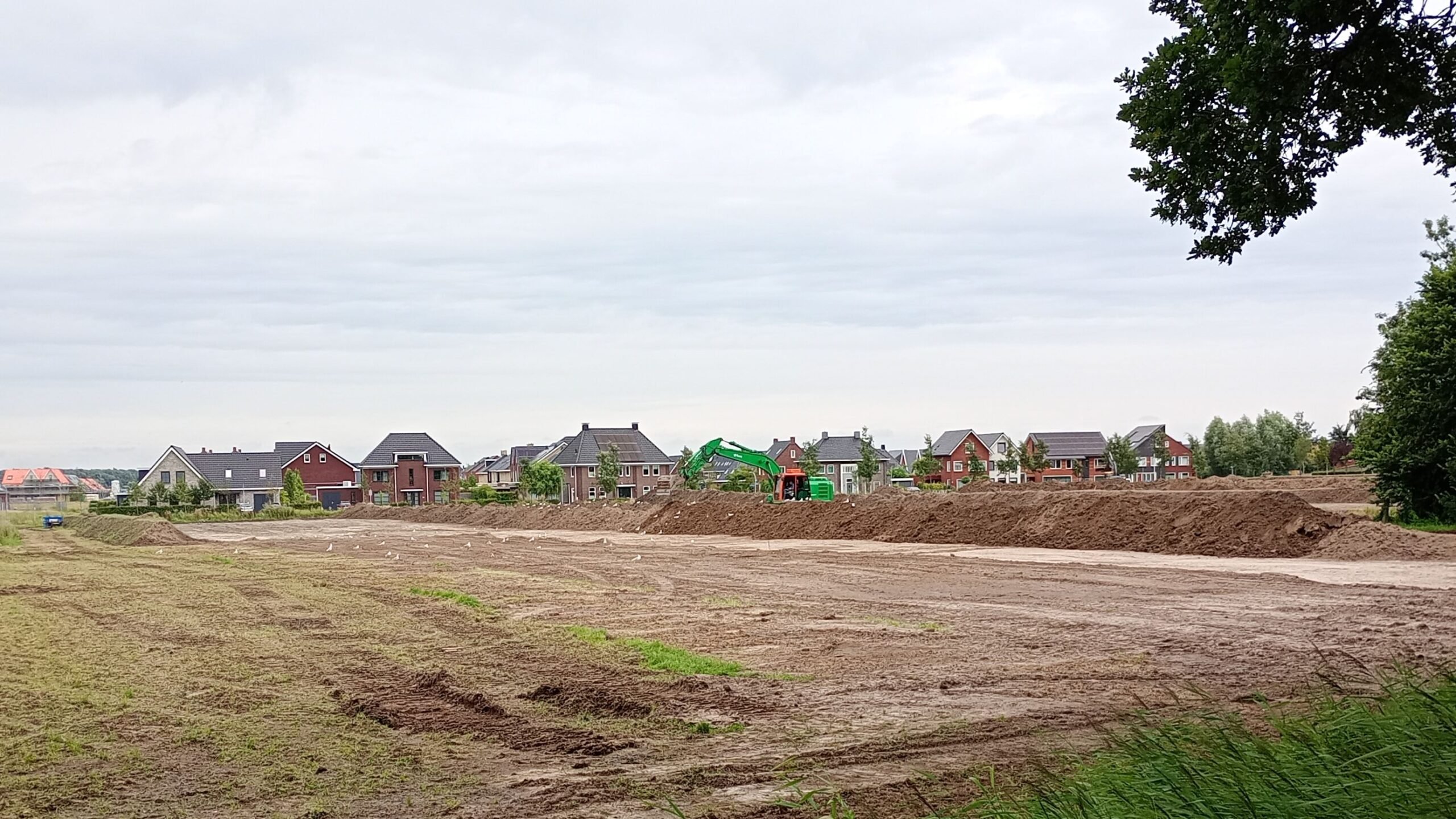 Archeologische opgravingen Zuidhorn